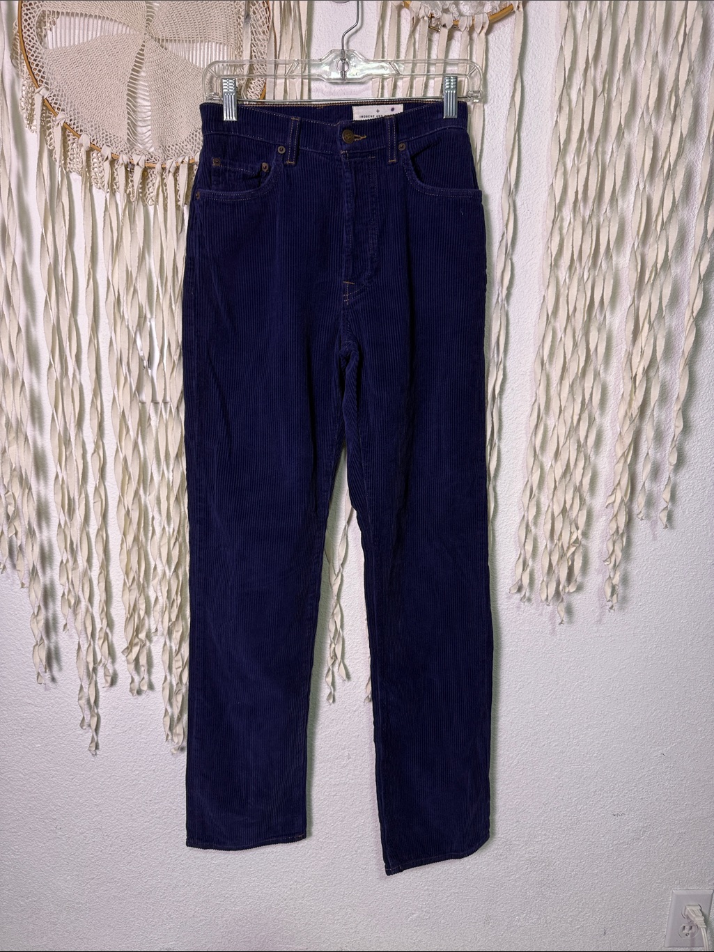 Imogene + Willie Amelia Purple Blue Corduroy Pants Size 25